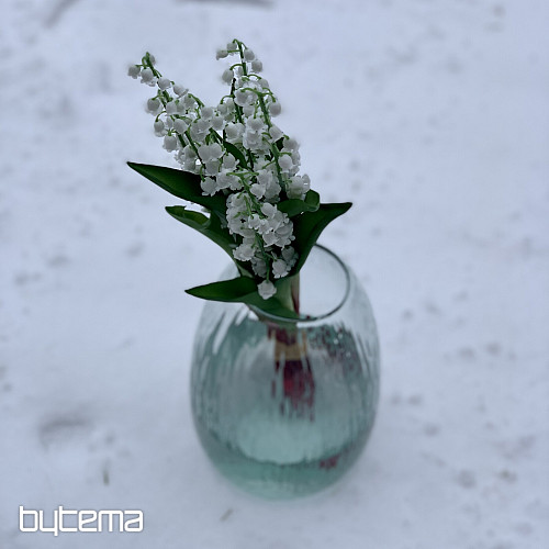 LILY OF THE LONG LIVING