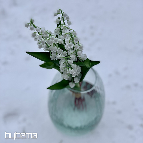 LILY OF THE LONG LIVING