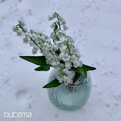 LILY OF THE LONG LIVING