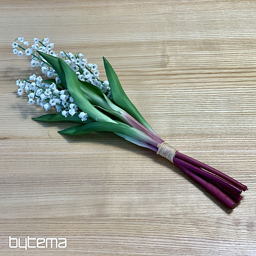 LILY OF THE LONG LIVING