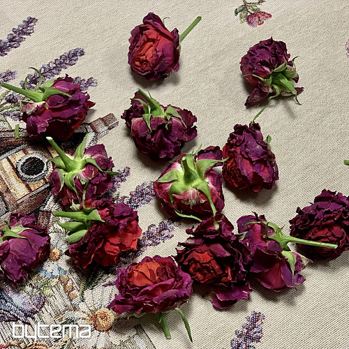 Tapestry tablecloth and scarf BIRDHOUSE