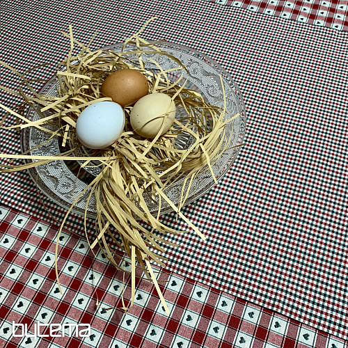 Tablecloth and scarf MAXI CORET red