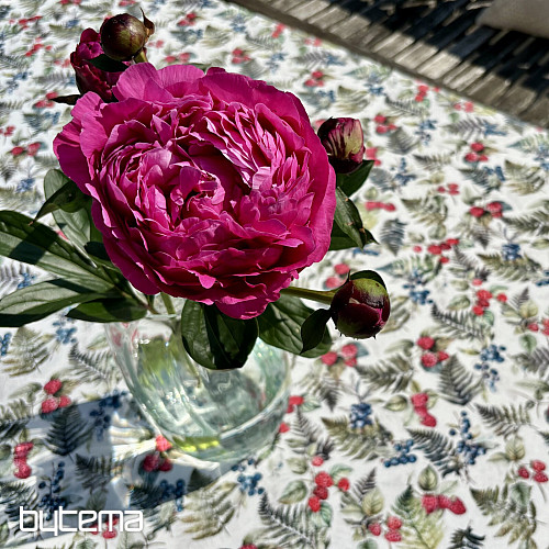 Tablecloth BERRIES