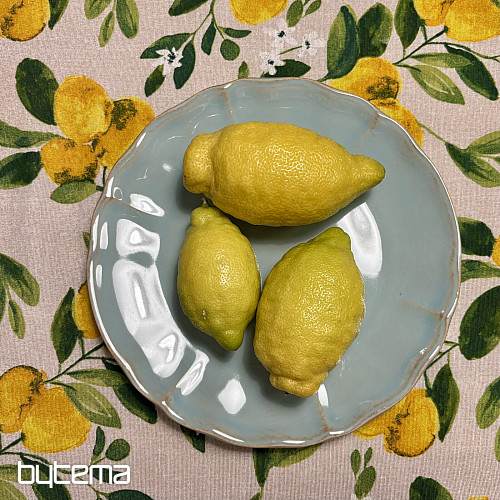 Plate ALENTEJO 27 cm turquoise