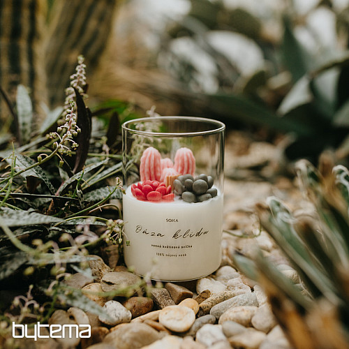 OASIS OF PEACE scented floral candle with succulents with lid