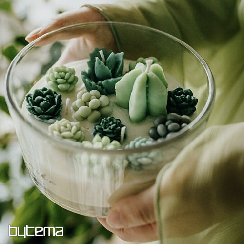 BOTANIKA scented flower candle with cacti