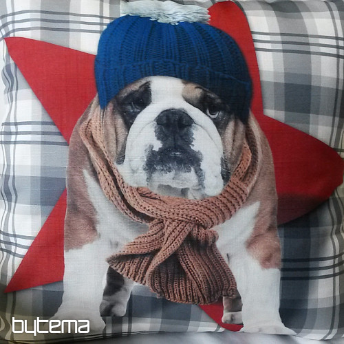 Decorative pillowcase HARRY THE BULLDOG 2