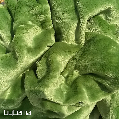 Micro flannel sheet SLEEP WELL green - kiwi