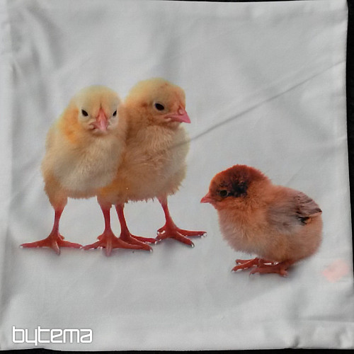 Decorative pillowcase CHICKEN