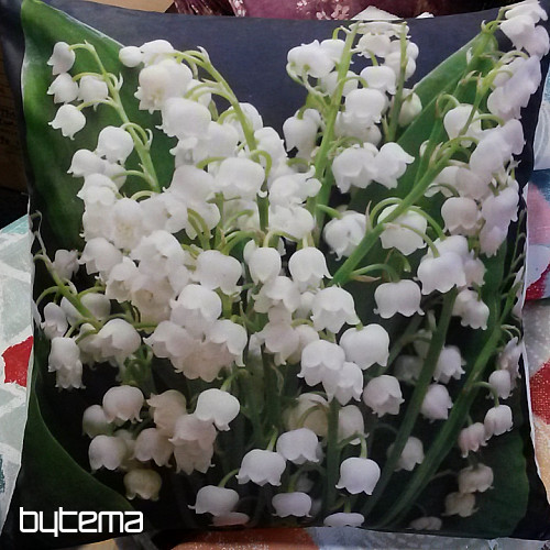 LILY OF THE LILY cushion cover