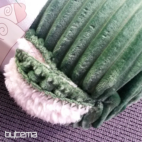 Microfiber blanket EXTRA SOFT SHEEP plastic design - green
