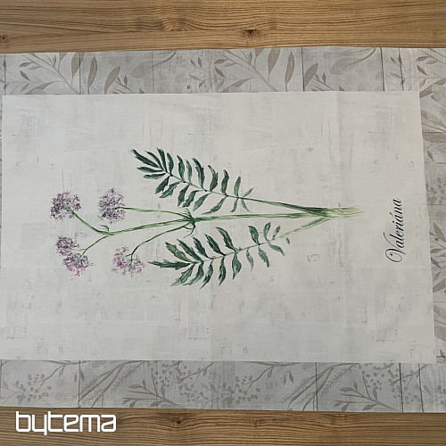 Dish-cloth Valeriana