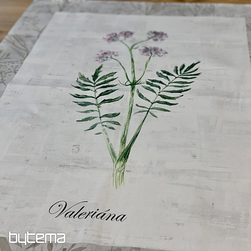 Dish-cloth Valeriana