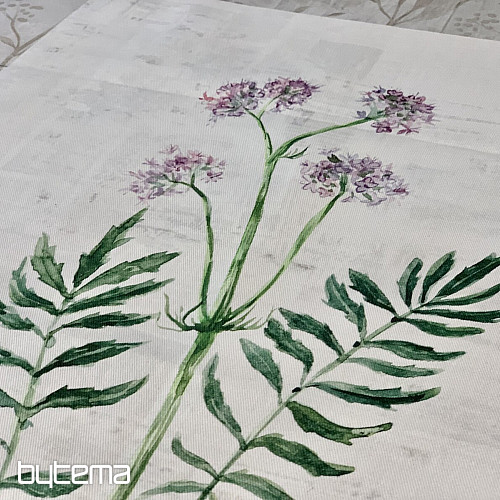 Dish-cloth Valeriana