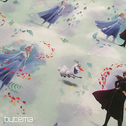 Children decorative fabric GFROZEN