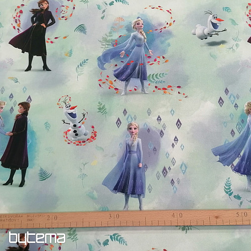 Children decorative fabric GFROZEN