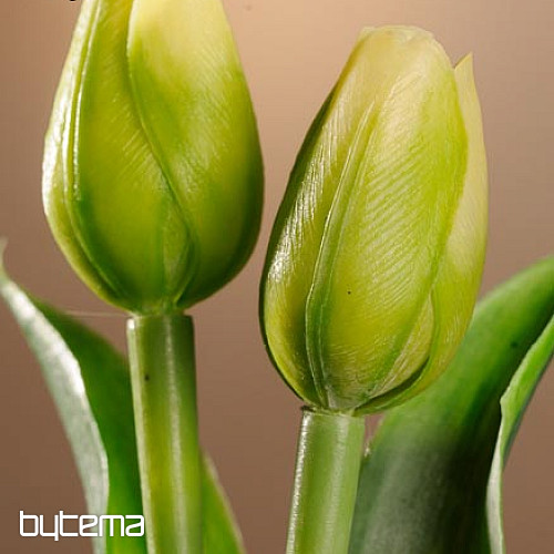 Tulips mix colors