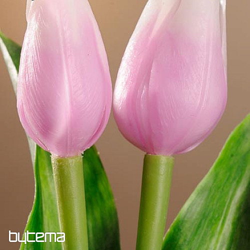Tulips mix colors