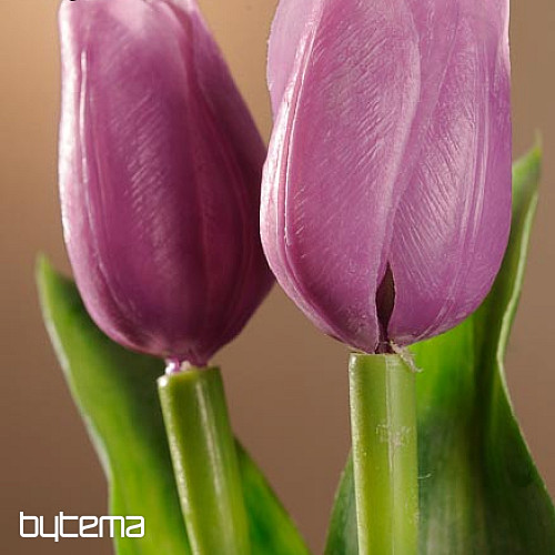 Tulips mix colors