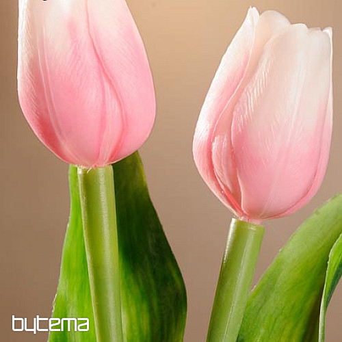 Tulips mix colors