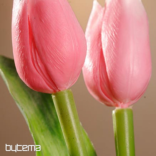Tulips mix colors