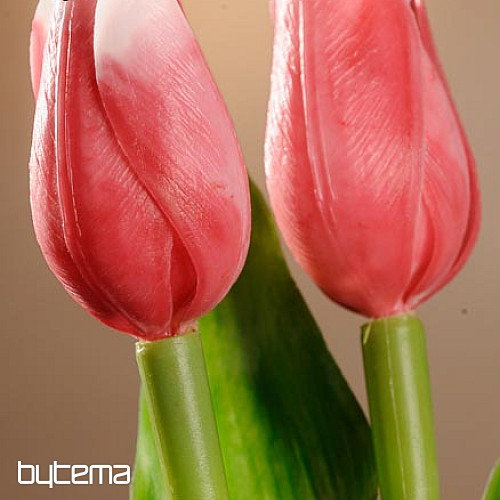 Tulips mix colors