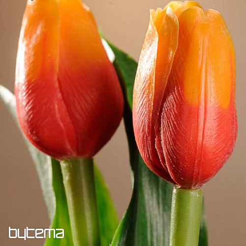 Tulips mix colors