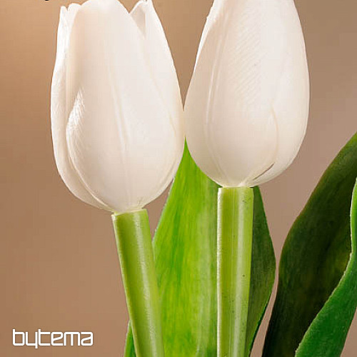 Tulips mix colors