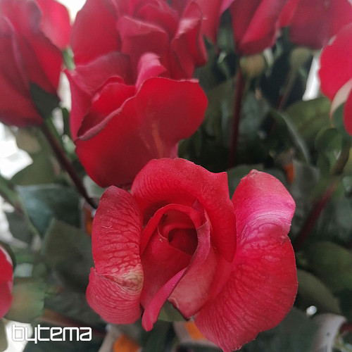 Rose bud red 70 cm
