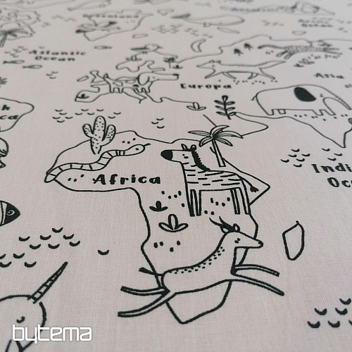 Fabric for painting maps
