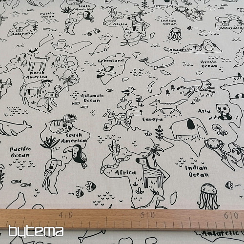 Fabric for painting maps