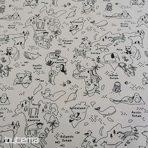 Fabric for painting maps