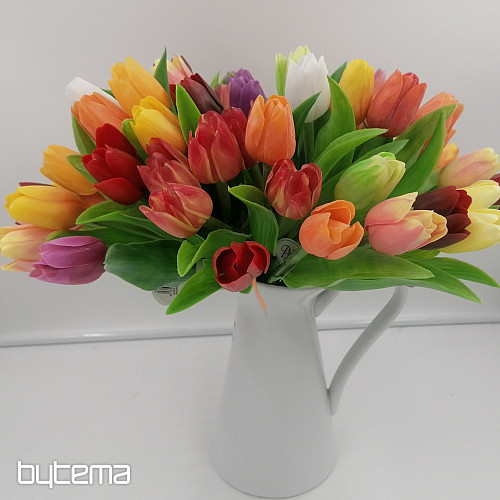 Tulips mix colors