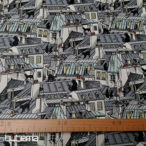 Rubberized cotton - TOWN