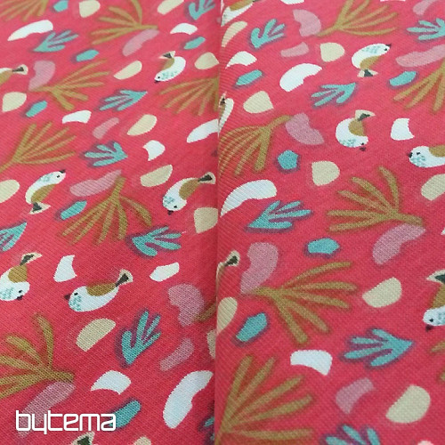 Cotton jersey BIRDS LIPO